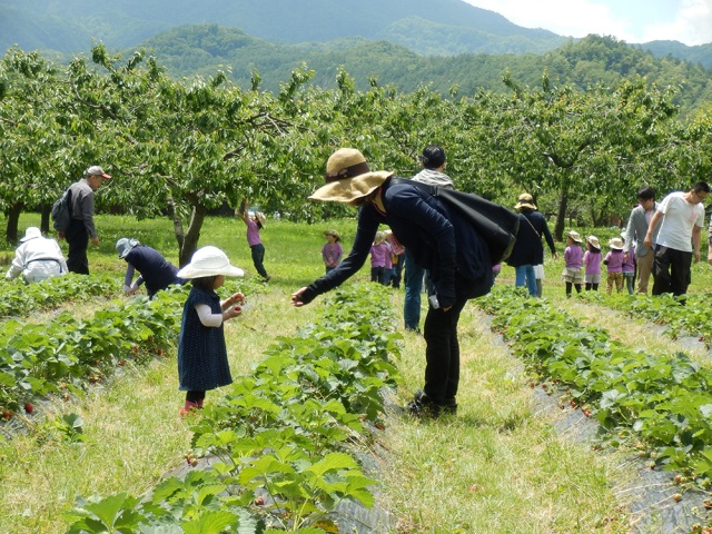 八剣山果樹園
