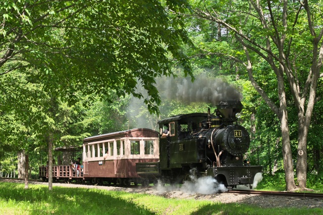 公園内を走る雨宮号。乗車できるので子供達はもちろん鉄道好きにはたまりません