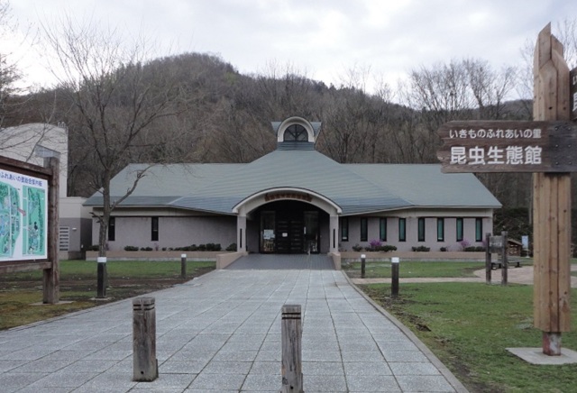 「昆虫生態館」季節を問わず生きた昆虫が見られる虫の博物館