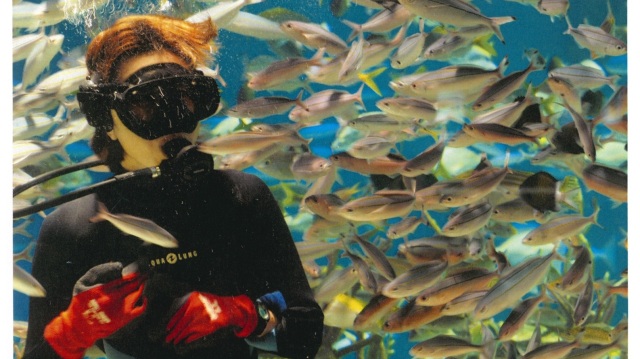海の中にいるような大型水槽、スタッフに集まる魚たちが壮観です