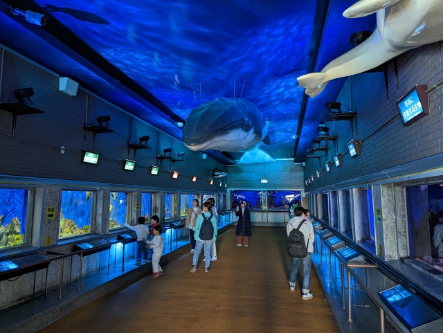 本館内の水槽展示は開館当時のままの車窓風スタイルです