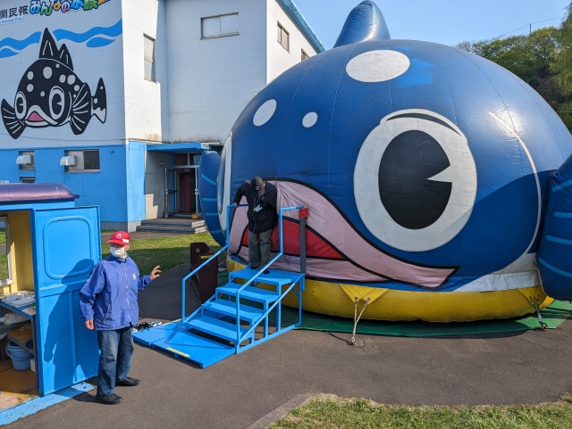 ファファは土日祝のみ稼働しています