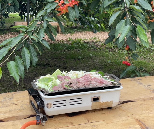 果物のなる中でジンギスカンが食べられます