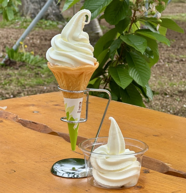 ニトリ観光果樹園でしか食べれないオリジナルナイアガラぶどうのソフトクリーム