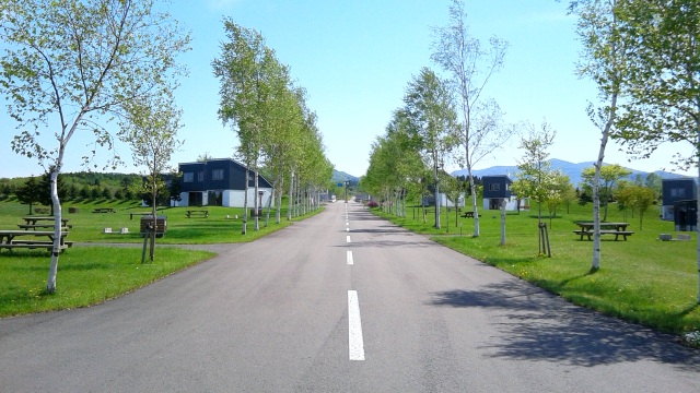 メインストリート。しっかり整備された環境の中にも、とんぼの池（ビオトープ）もあり楽しい