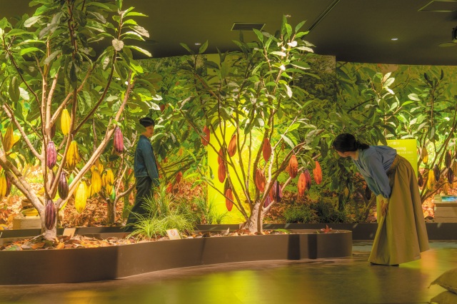 コロンビアにある自社のカカオファームを再現