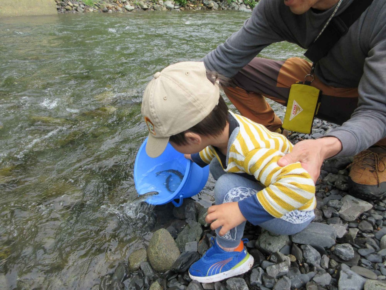 一番川地区では6月はじめにヤマベの稚魚を放流します
