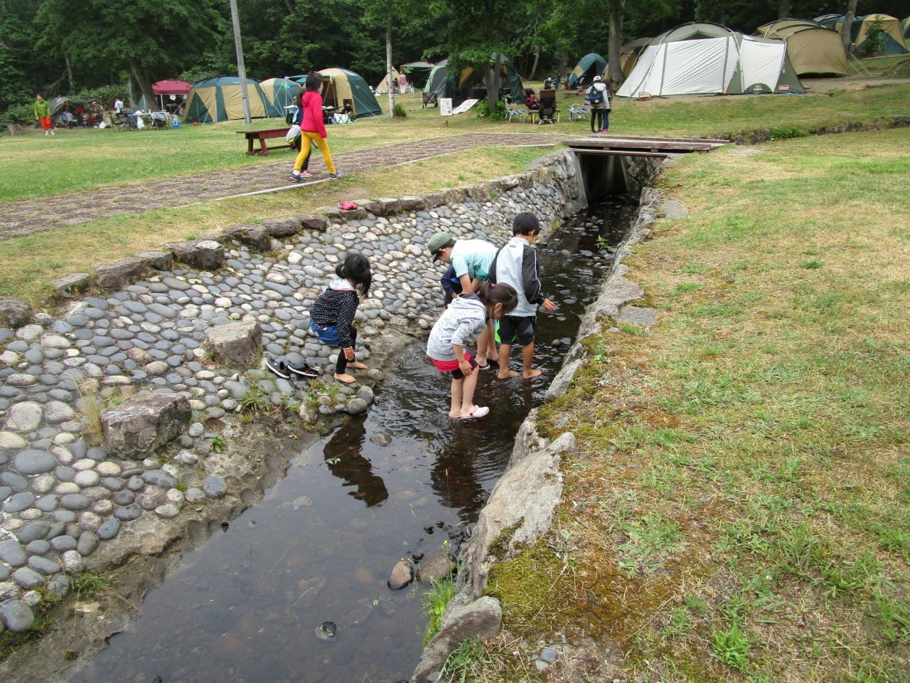 神威尻林間キャンプ場では水遊びも楽しめます