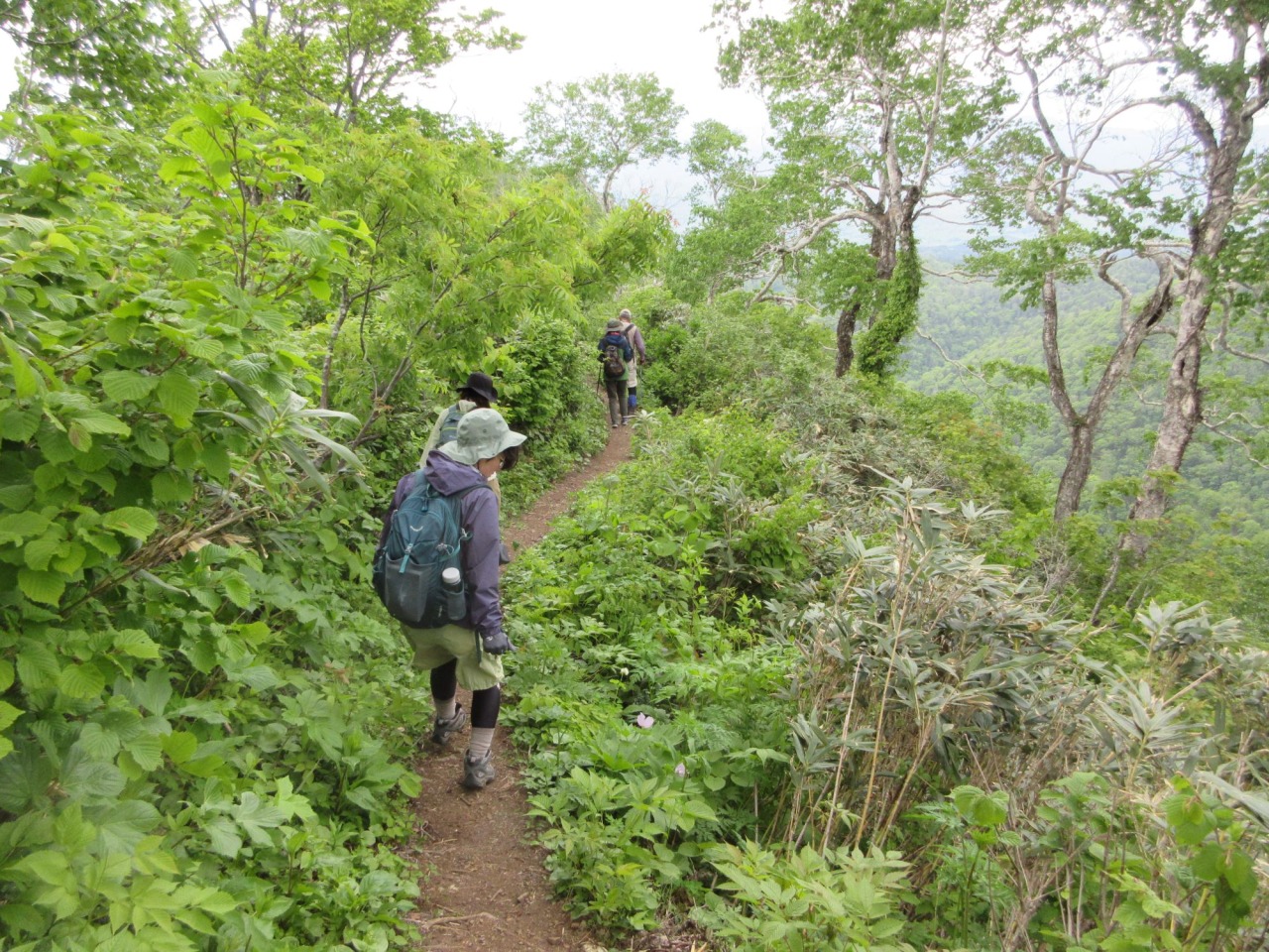 神居尻地区から神居尻山を目指す3つのルートと一番川地区からピンネシリや待根山へ向かうルートで登山もできます