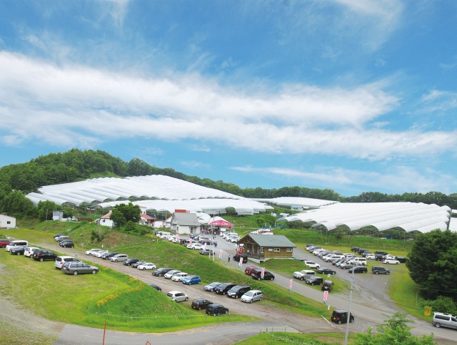 雨よけドームは東京ドームより広い面積！