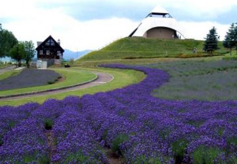 西北山觀景公園[3]