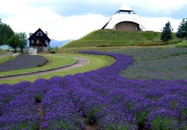 北西の丘展望公園[3]