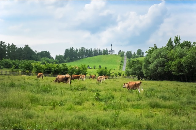 ファームズ千代田[7]
