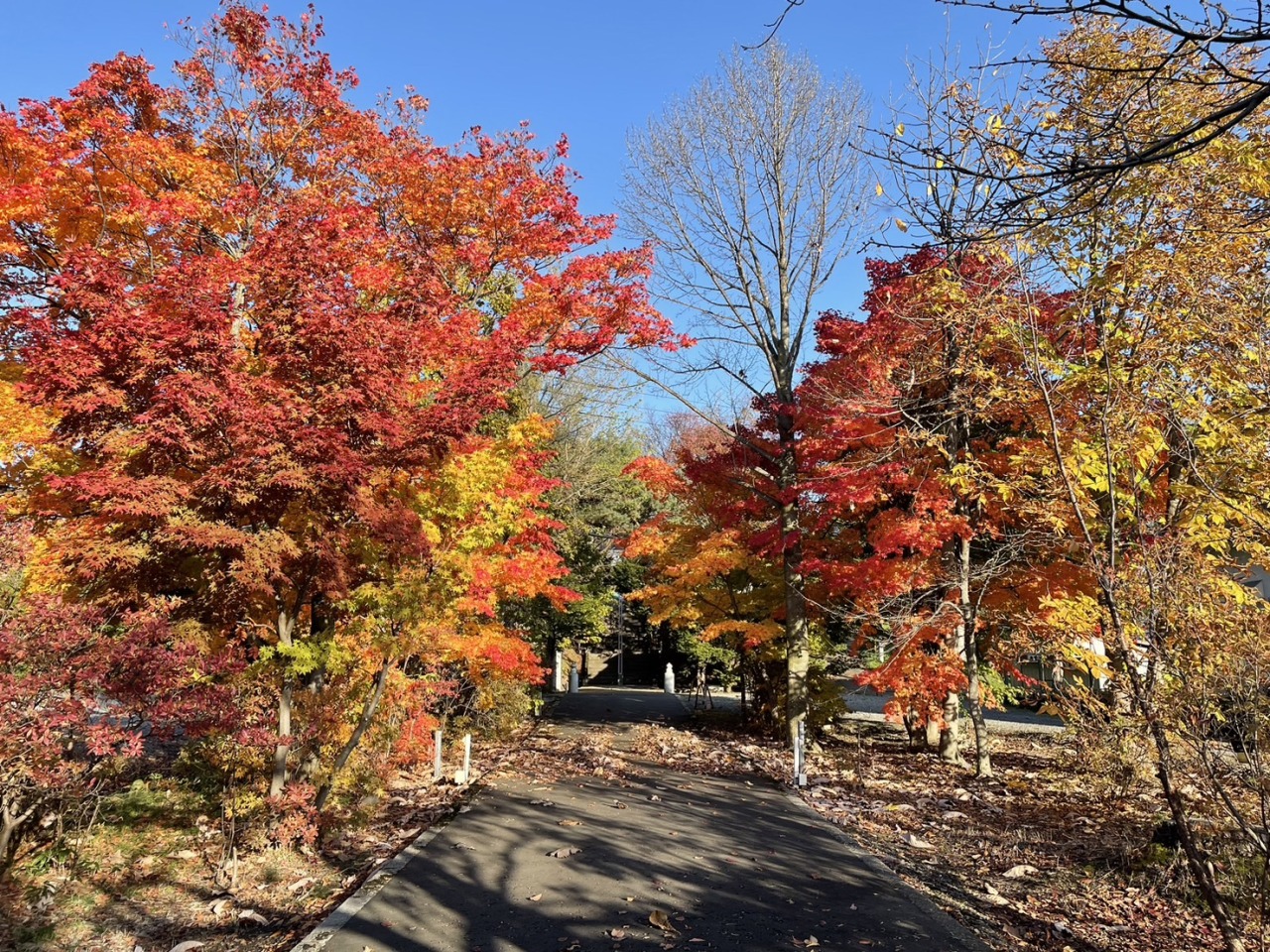 Higashi Kagura Shrine[3]