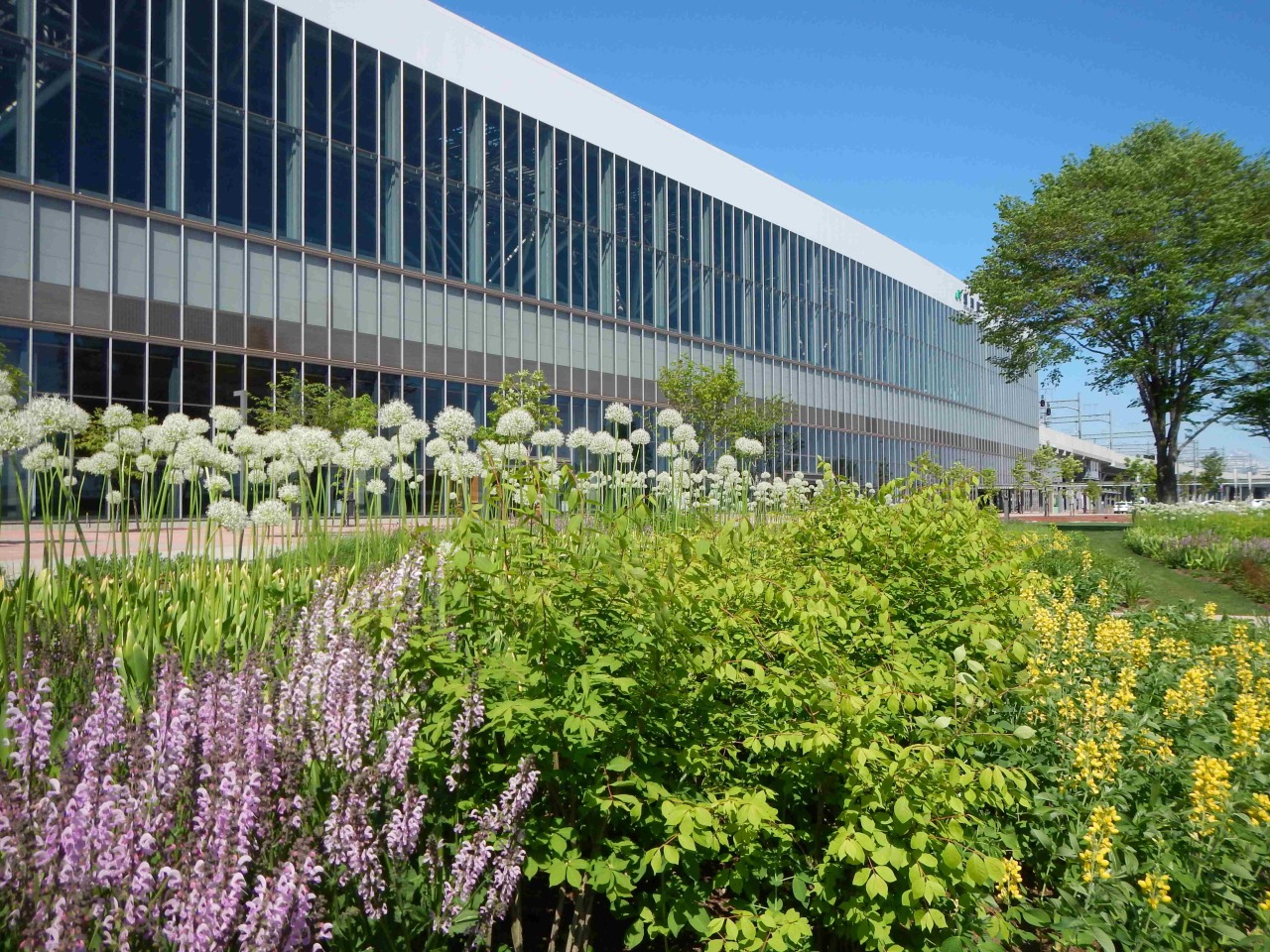 旭川北斋户庭园[1]