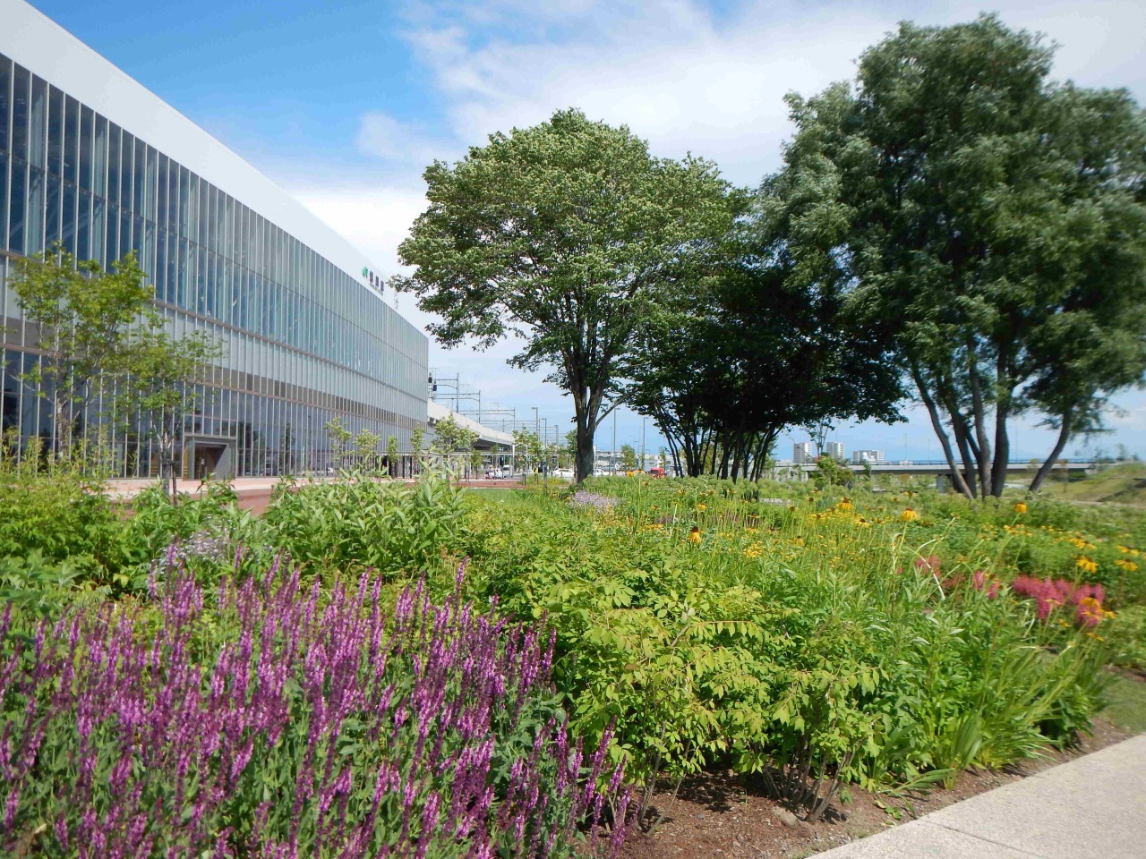 旭川北斋户庭园[3]