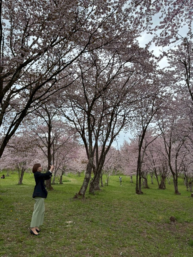 キトウシの森[3]