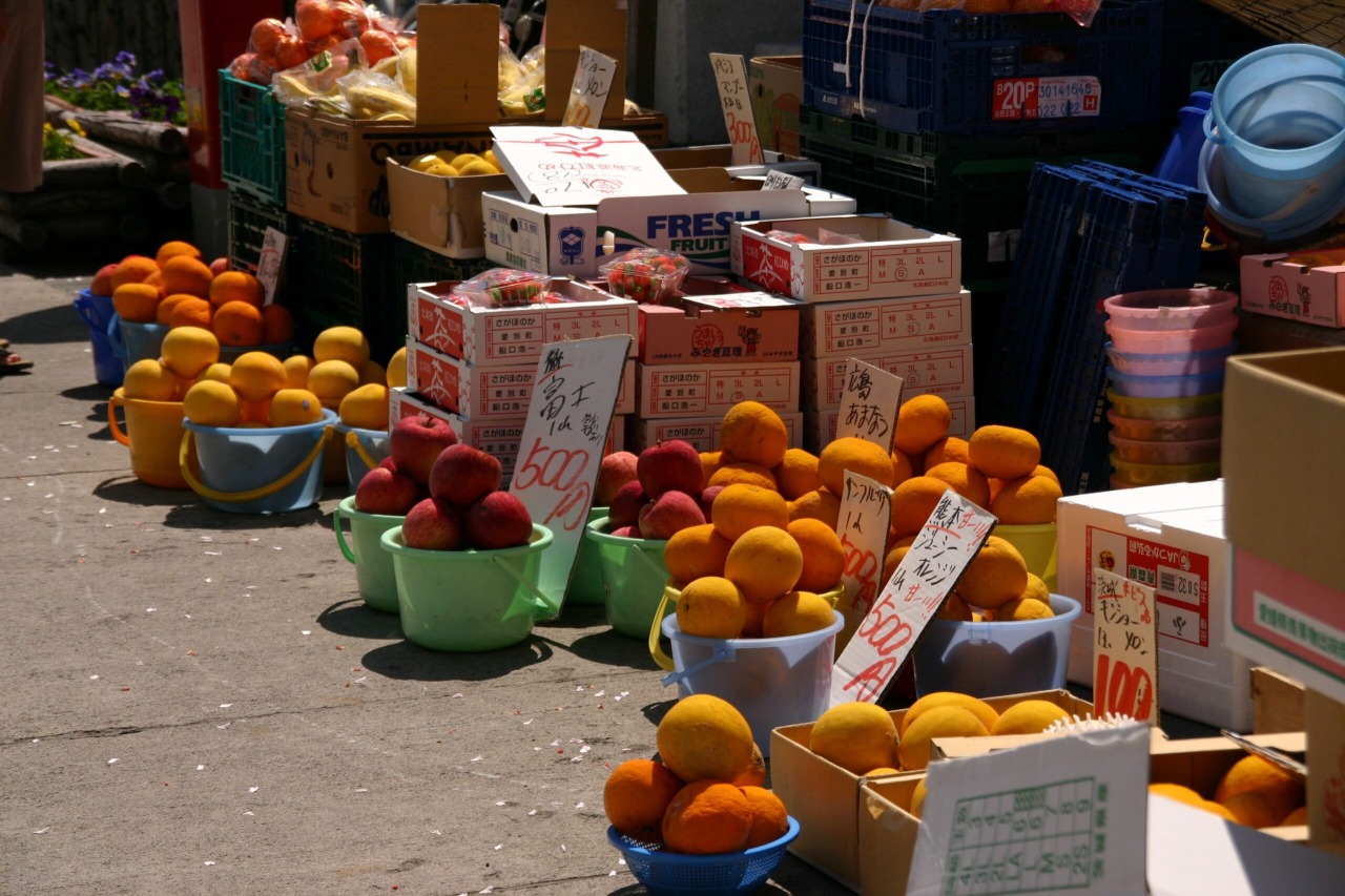 Ginza Shopping Street[5]