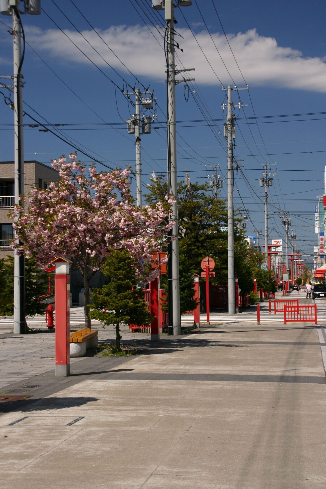 Ginza Shopping Street[7]