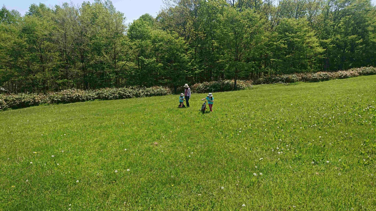 神威之森公园[2]