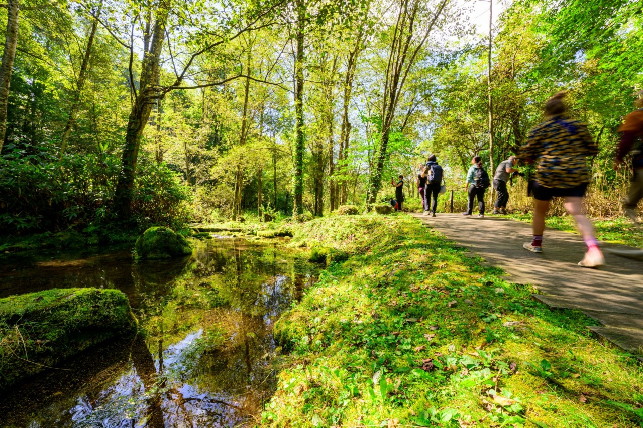 大雪旭岳源水公園[4]