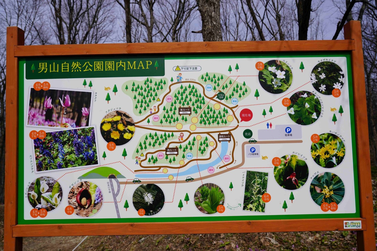 Otokoyama Nature Park[5]