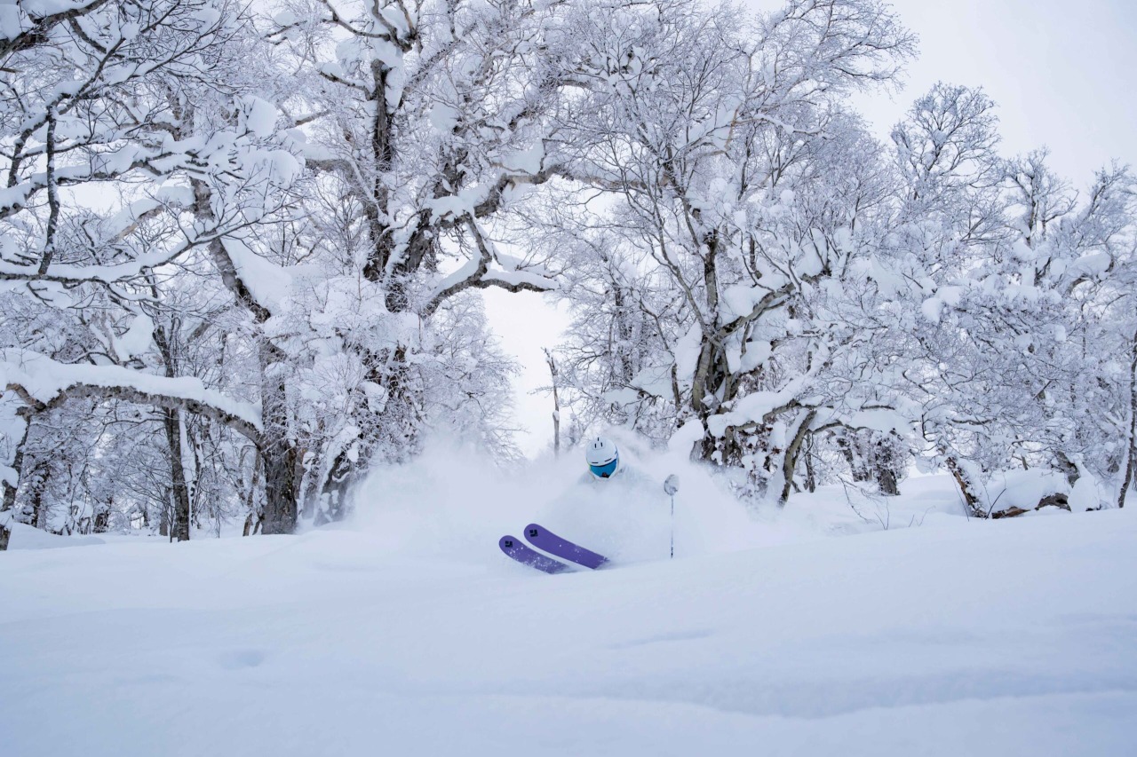 카무이 스키 링크스[1]