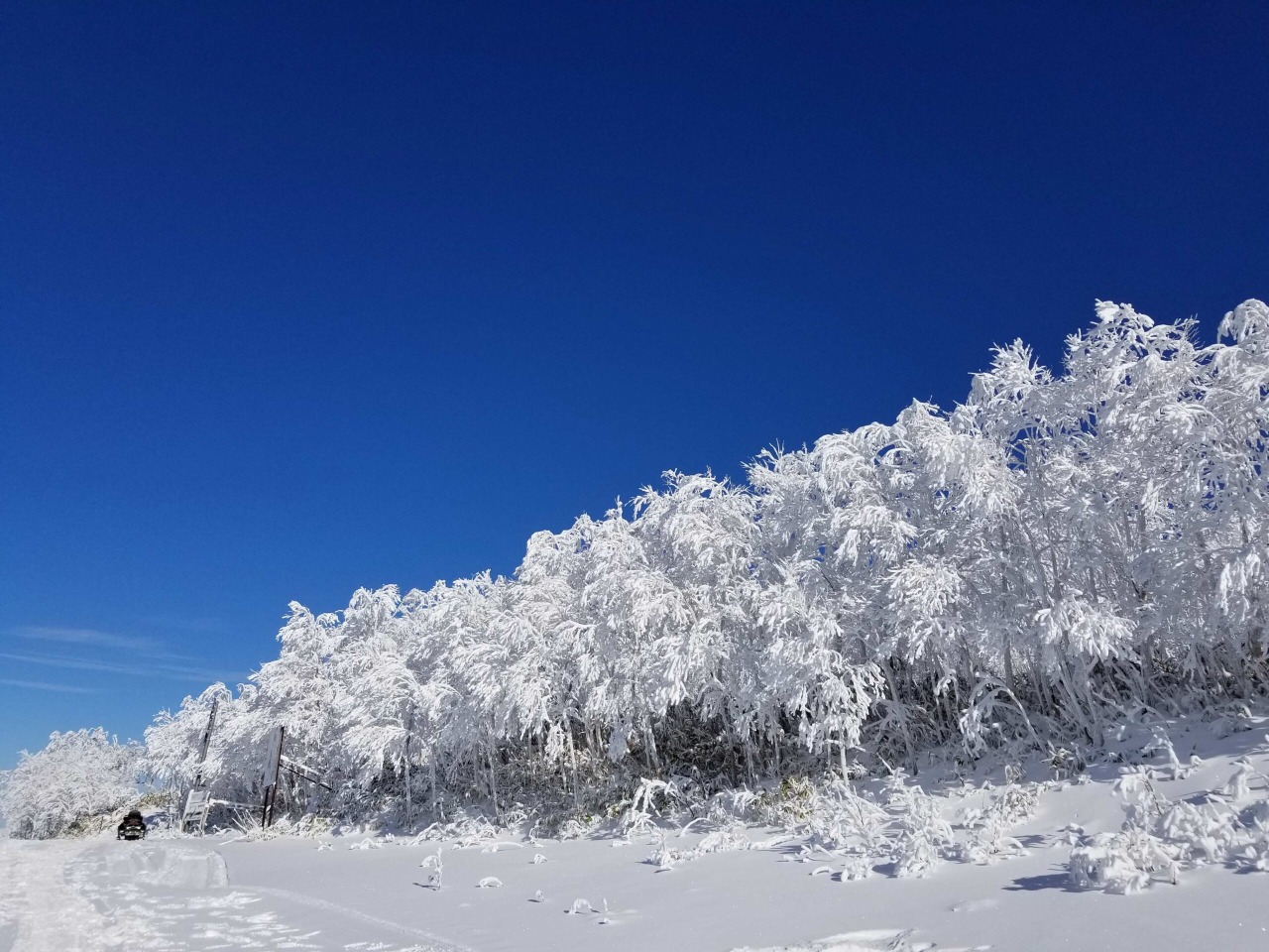 카무이 스키 링크스[4]