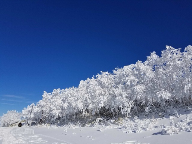 カムイスキーリンクス[4]