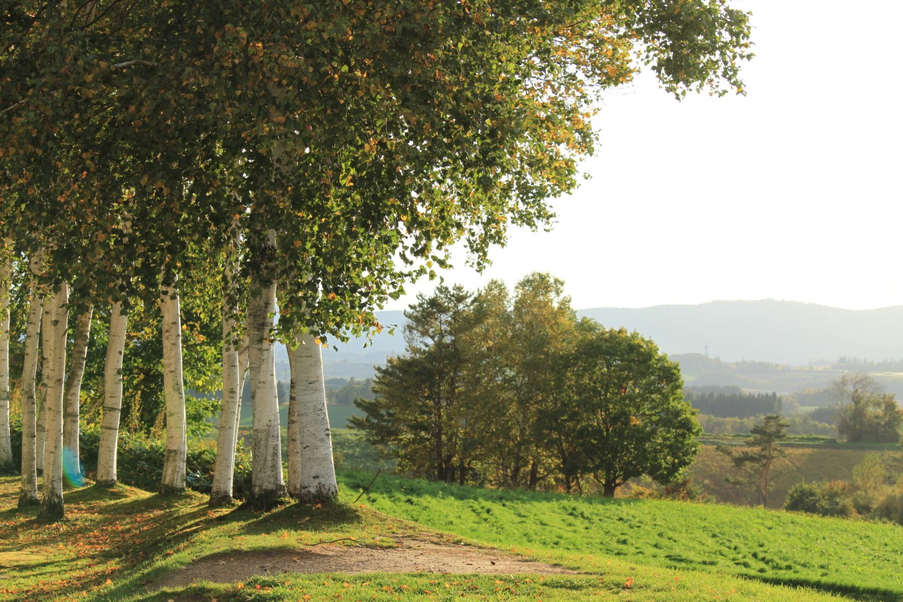 상아이 언덕 전망공원[3]