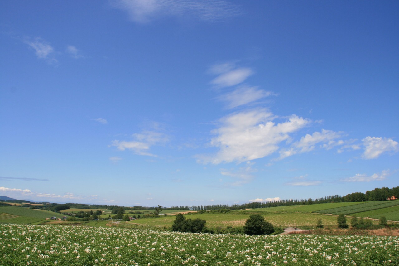 상아이 언덕 전망공원[4]