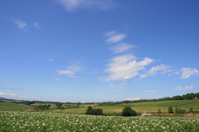 三愛の丘展望公園[4]