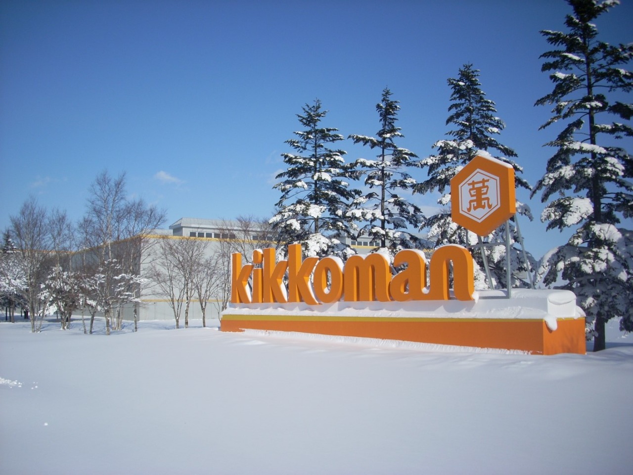 工場見学ではガイドがついてわかりやすく説明。原料や製造方法について知ることで、日々の食卓がもっと楽しくなりそう