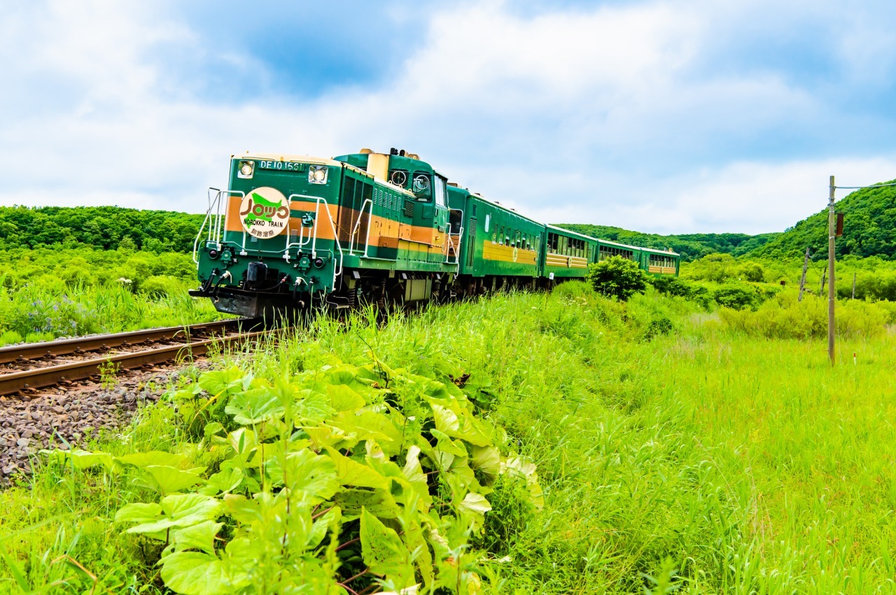 くしろ湿原ノロッコ号