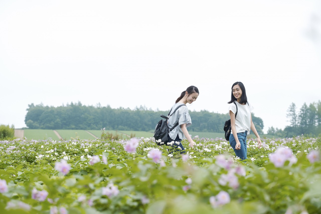 女子旅におすすめ 旅のテーマから探す 公式 北海道の観光 旅行情報サイト Hokkaido Love