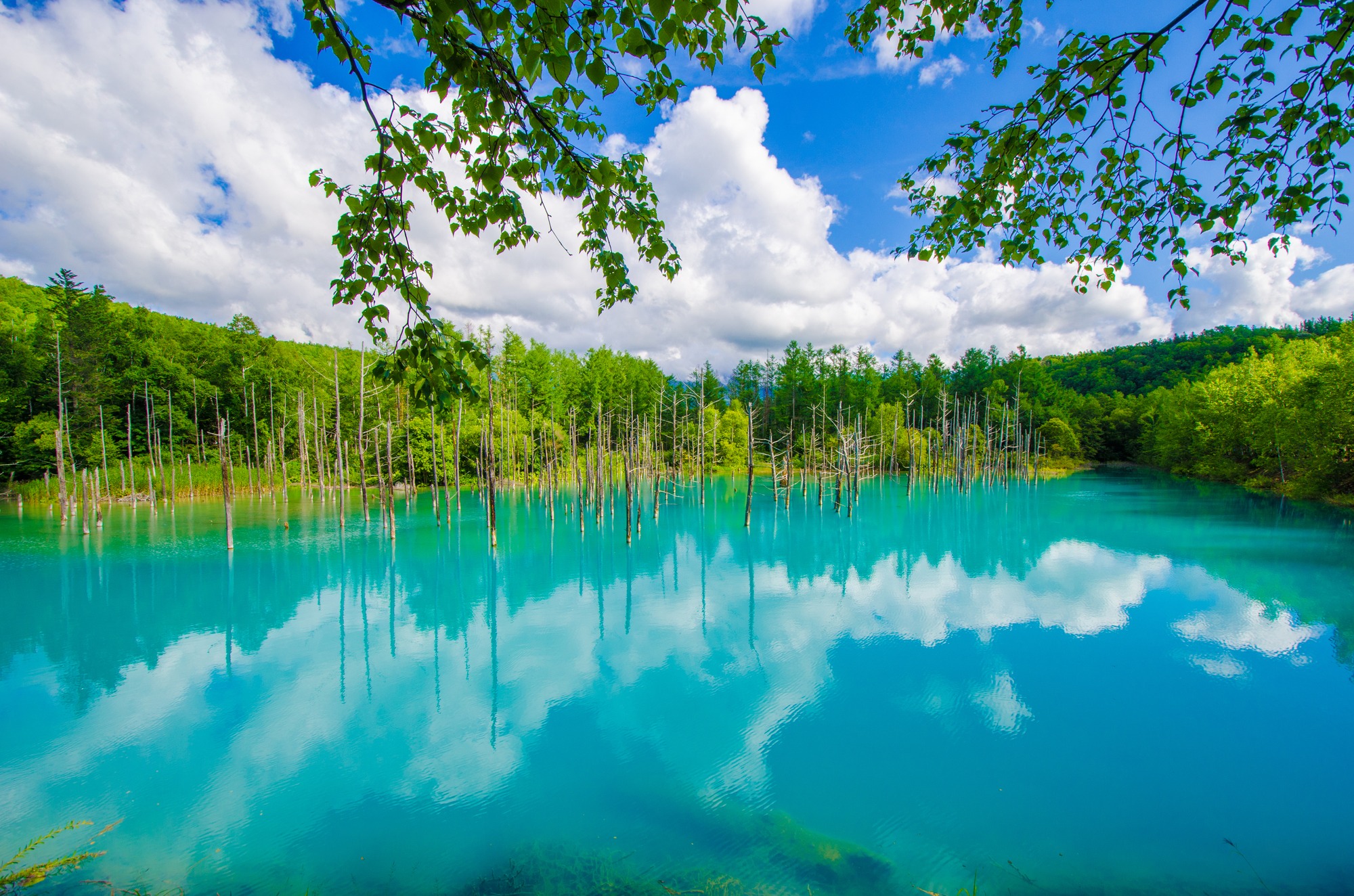 北海道の青い池はなぜ青い？