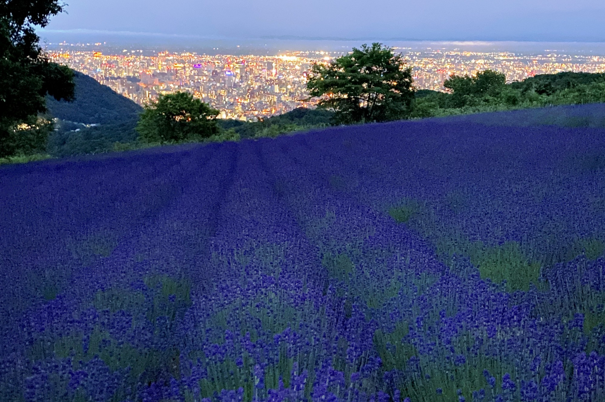 日本夜景遺産に認定された、美しい札幌の夜景