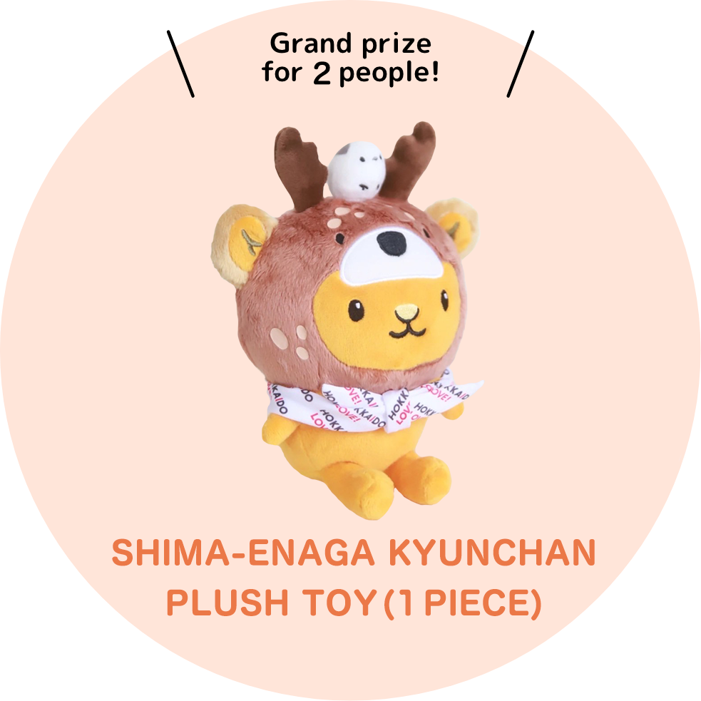Grand prize for XX people!An Otaru Orgel Doh music box